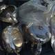 Antique Oneida Community Plate Grosvenor Silver Plate Tea Set, Plus Pyrexx Tray