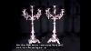 Pair Silver Plate Rococo Candelabras Plated Epns