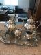 Silver Plated Tea Set