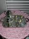 Vintage Crescent Silver Plate Tea Set With Tray 6-piece Ornate S. P. N. S